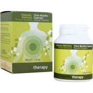 PharmaQ - Mastiha therapy Φυσική μαστίχα Χίου για θεραπεία δυσπεψίας - 90caps
