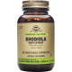 Solgar - Rhodiolife Standardise Rhodiola Root Extract Αντιμετώπιση άγχους, βελτίωση μνήμης - 60 φυτικές κάψουλες