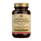 Solgar - Rhodiolife Standardise Rhodiola Root Extract Αντιμετώπιση άγχους, βελτίωση μνήμης - 60 φυτικές κάψουλες