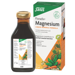 Power Health - Salus Floradix Magnesium Συμπλήρωμα Διατροφής με Μαγνήσιο σε Σιρόπι - 250 ml