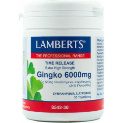 Lamberts - Ginkgo Biloba Extract - Κυκλοφορία του Αίματος - Μνήμη 6000mg - 30Tablets
