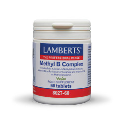 Lamberts - Methyl B Complex Συμπλήρωμα Διατροφής με Εξειδικευμένο Σύμπλεγμα Βιταμινών Β - 60tabs