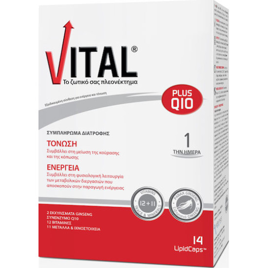 Ambitas - Vital Plus Q10 Πολυβιταμίνη για Ενέργεια & Ενίσχυση του Ανοσοποιητικού - 14 μαλακές κάψουλες